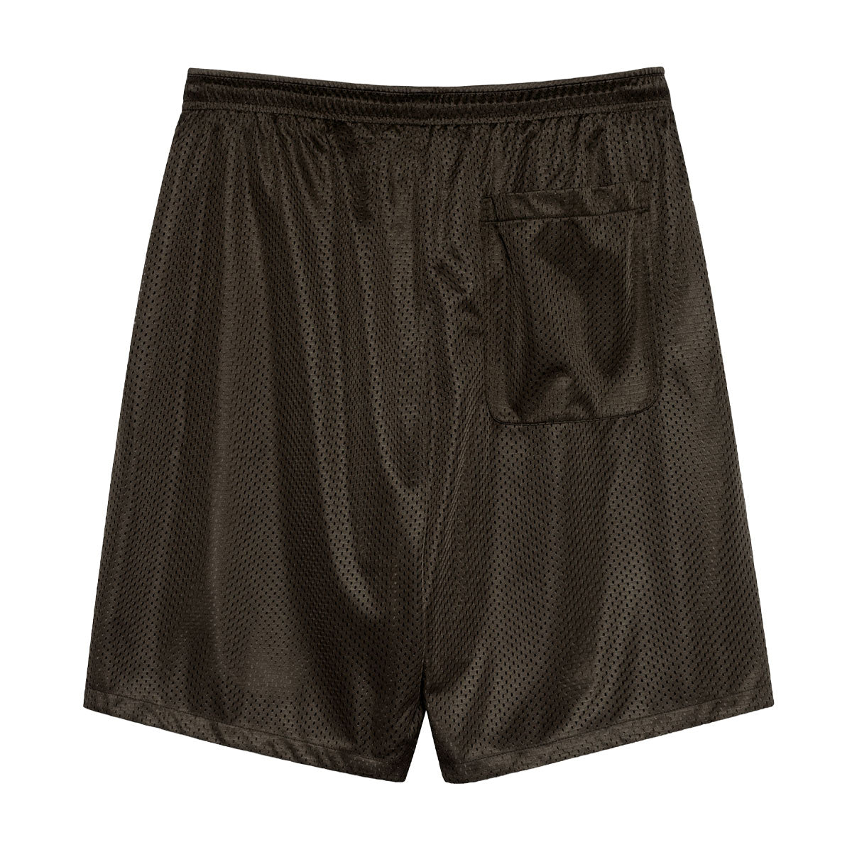 Polar Ray Shorts - Brown image 2