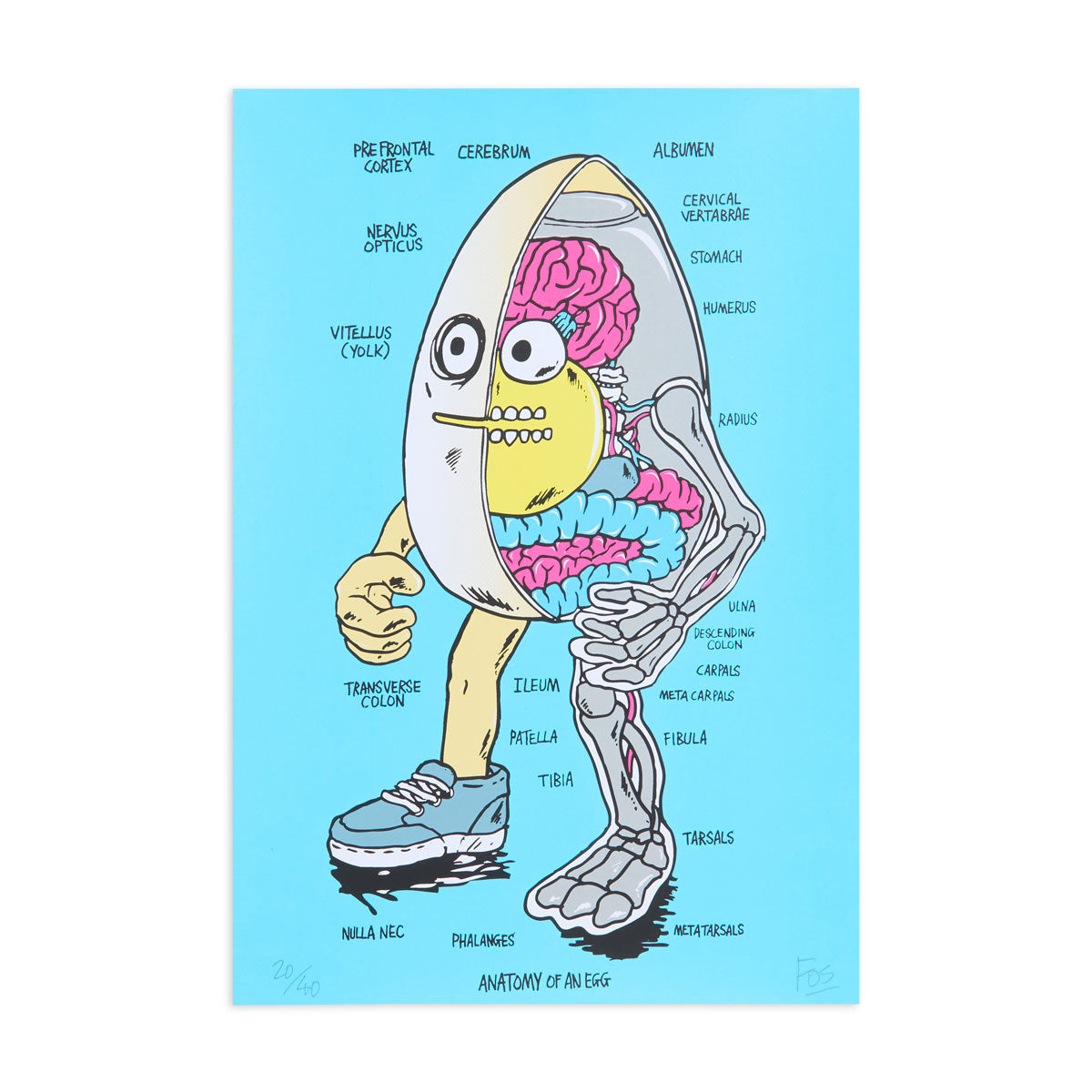 Pragmatic Prints x Fos Egg Print - Blue image 1