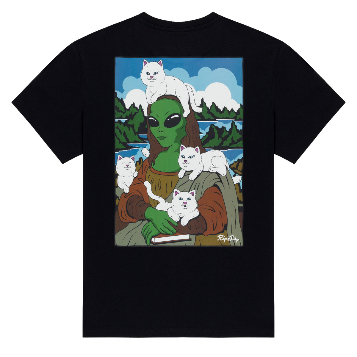RIPNDIP Here All Along T-Shirt - Black image 1