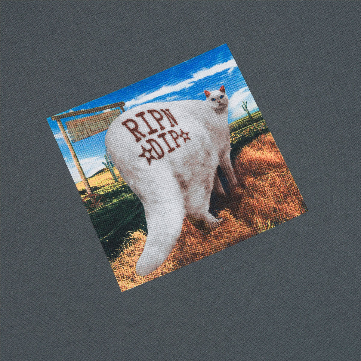 RIPNDIP Rowdy Howdy T-Shirt - Charcoal image 3