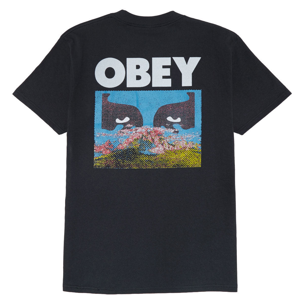 Obey In A Different Place T-Shirt - Vintage Black image 2