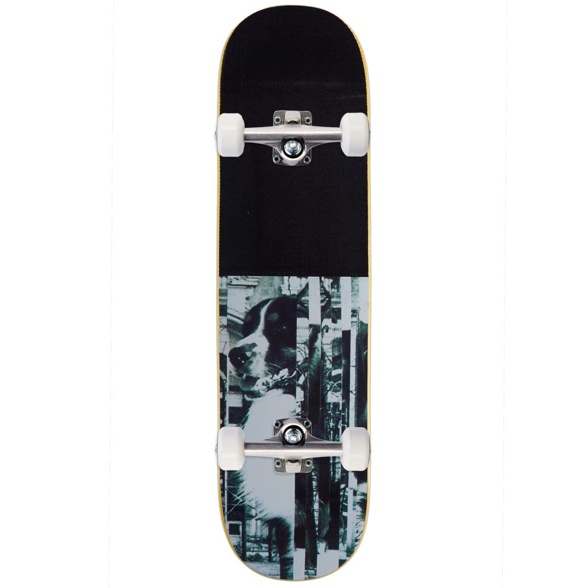 Rassvet Bauer Pro Skateboard Complete - 8.25