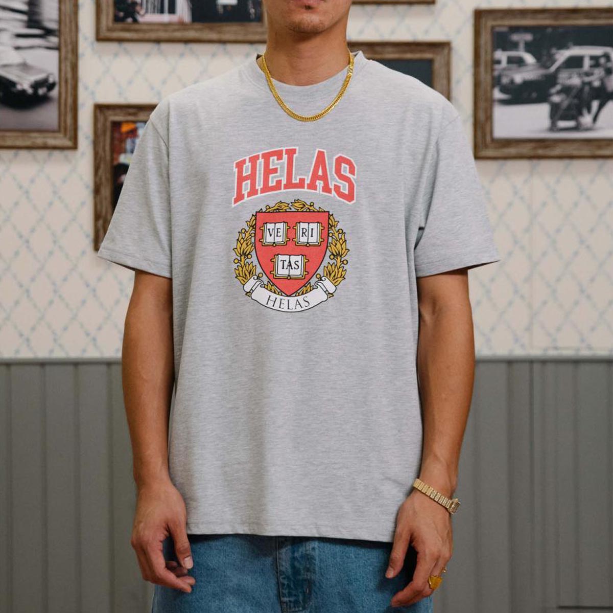 Helas Veritas T-Shirt - Heather Grey image 2