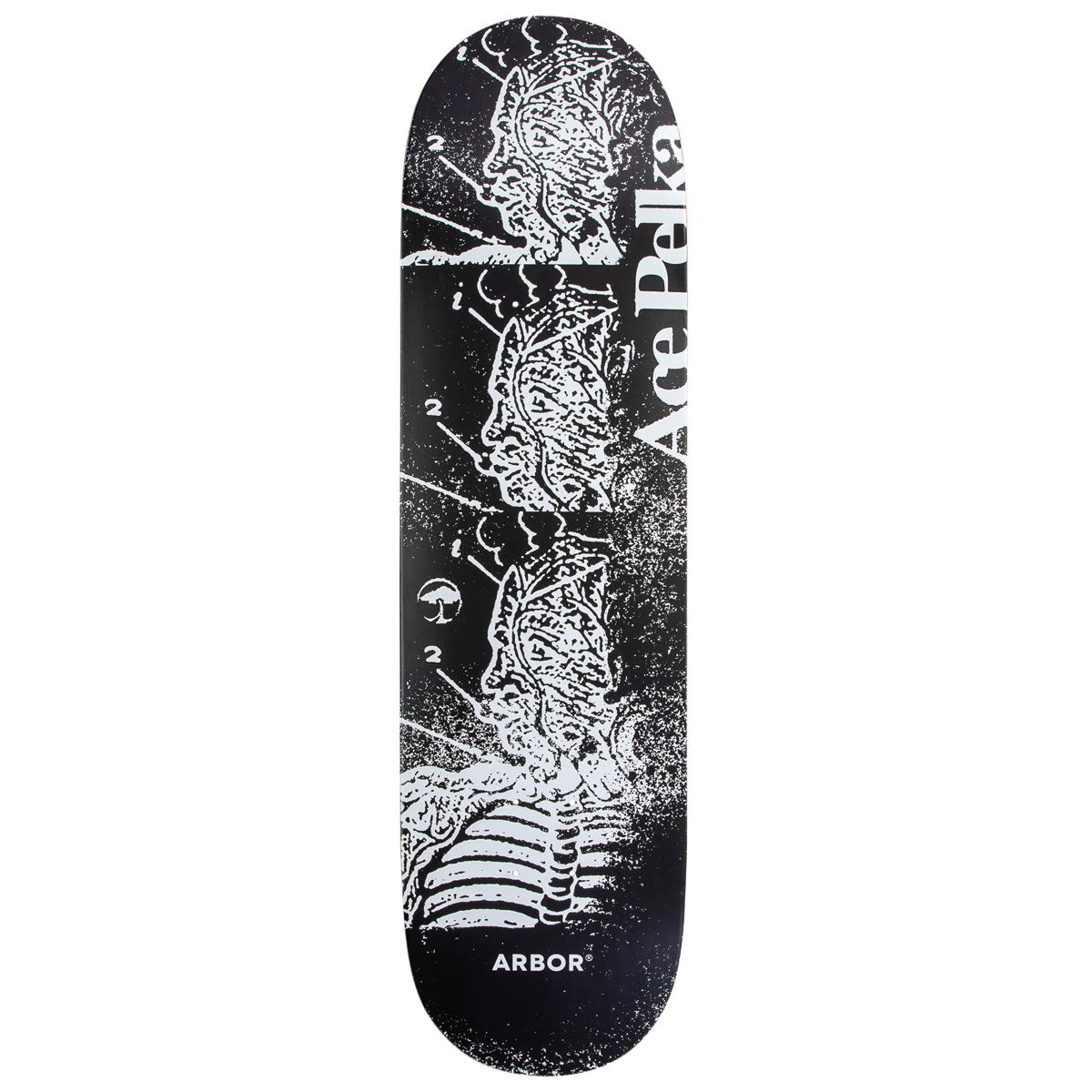 Arbor Ace Pelka Anatomy Skateboard Deck - 8.50