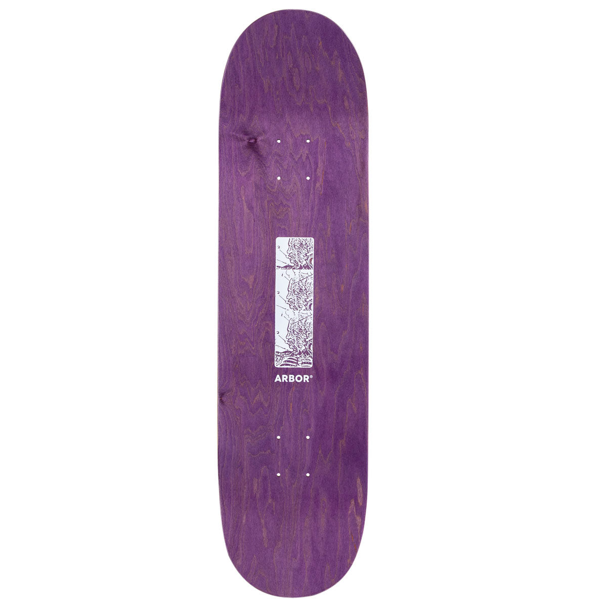 Arbor Ace Pelka Anatomy Skateboard Deck - 8.50