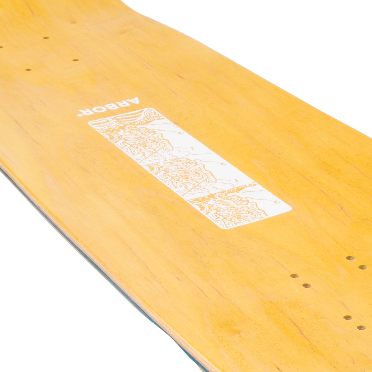 Arbor Ace Pelka Anatomy Skateboard Deck - 9.75