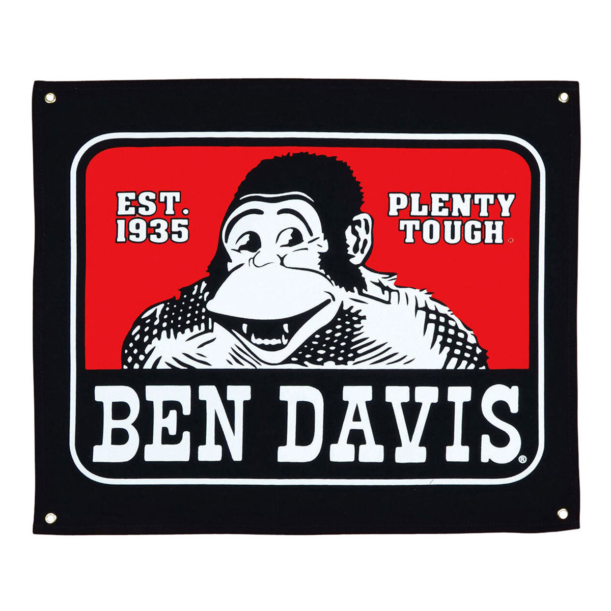 Ben Davis Classic Logo Banner image 1
