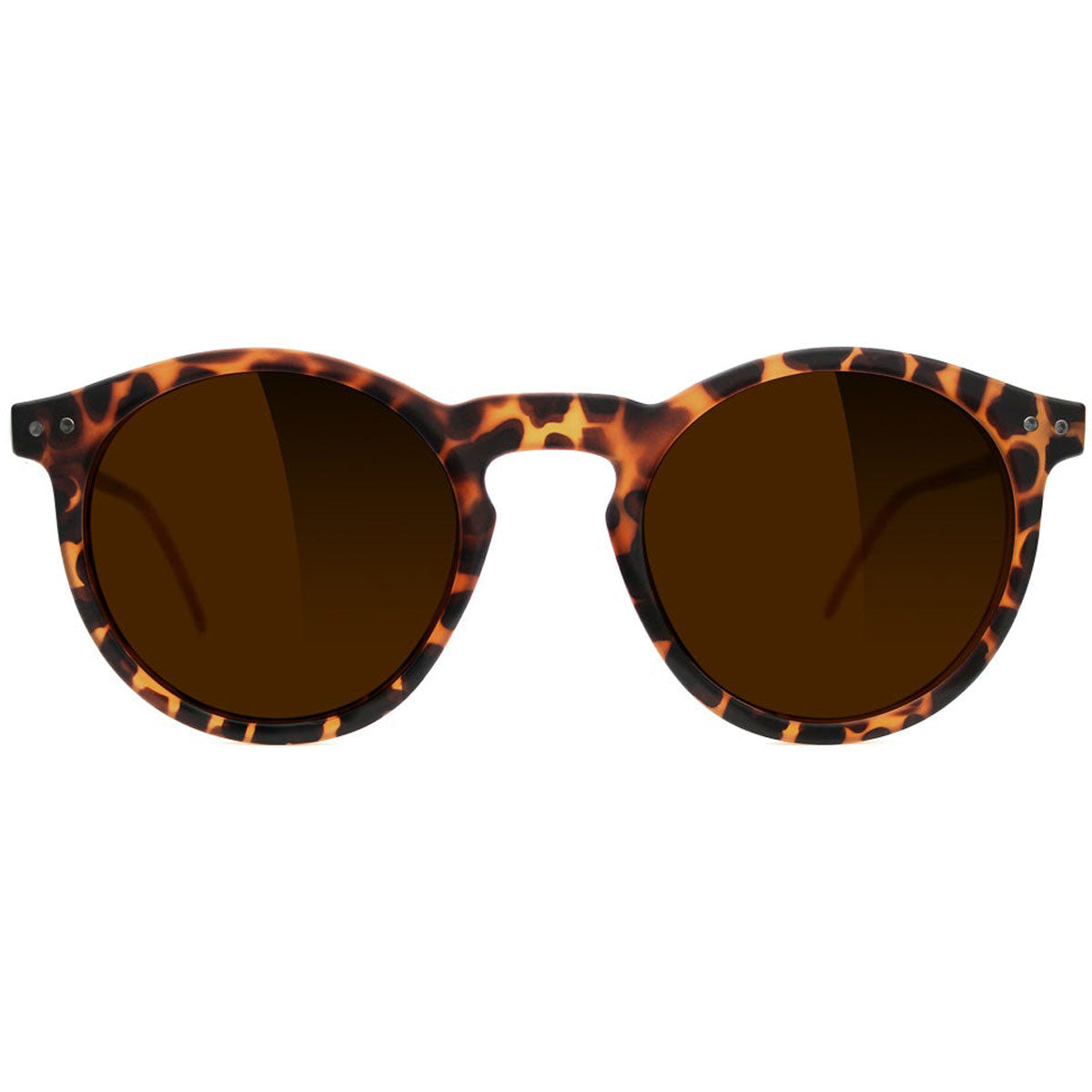 Glassy Apollo Premium Polarized Sunglasses - Matte Tortoise image 2