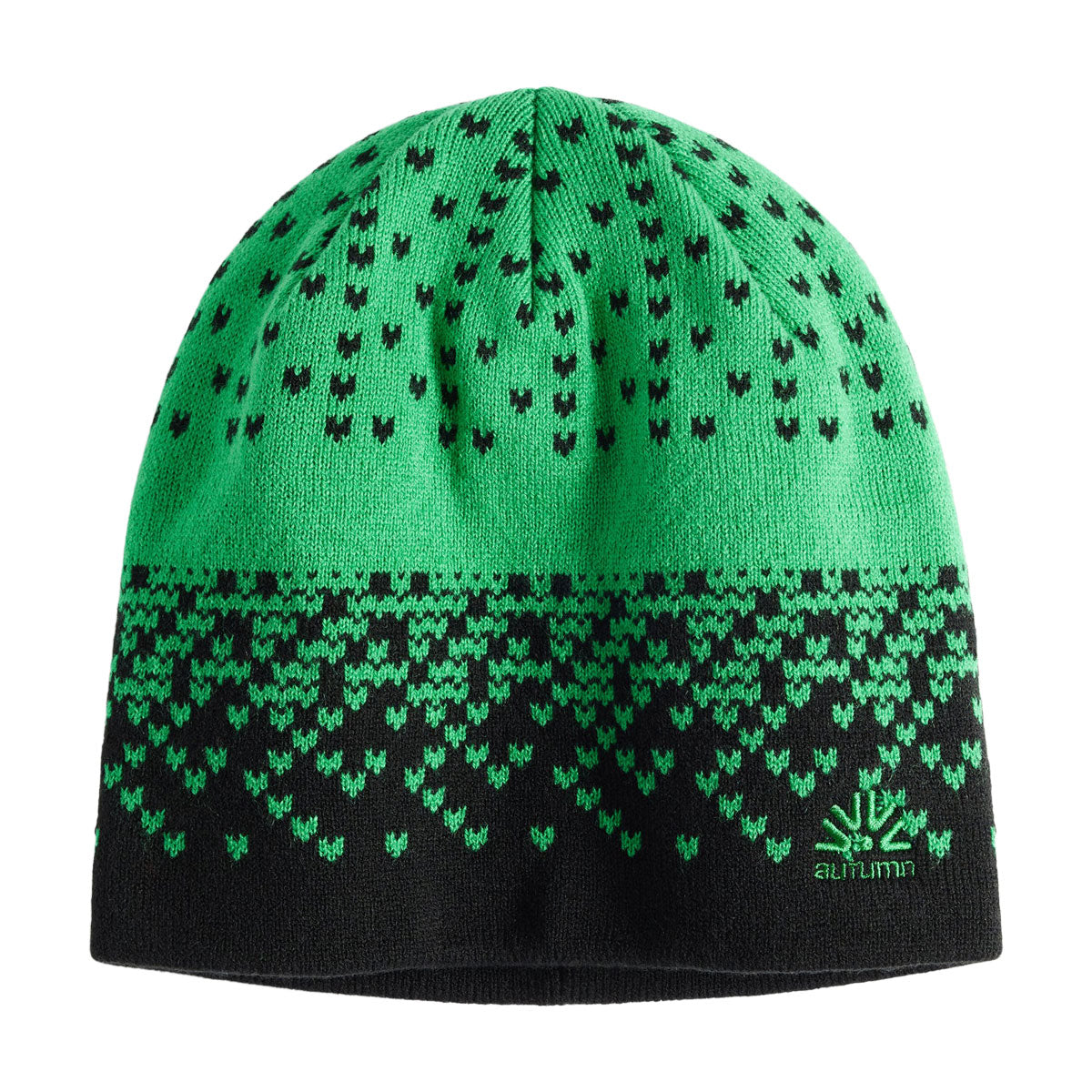 Autumn Warp Beanie - Green image 1