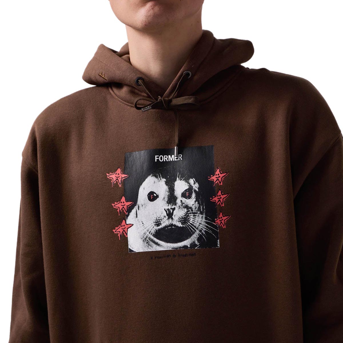 Former Pup Star Hoodie - Pecan image 5