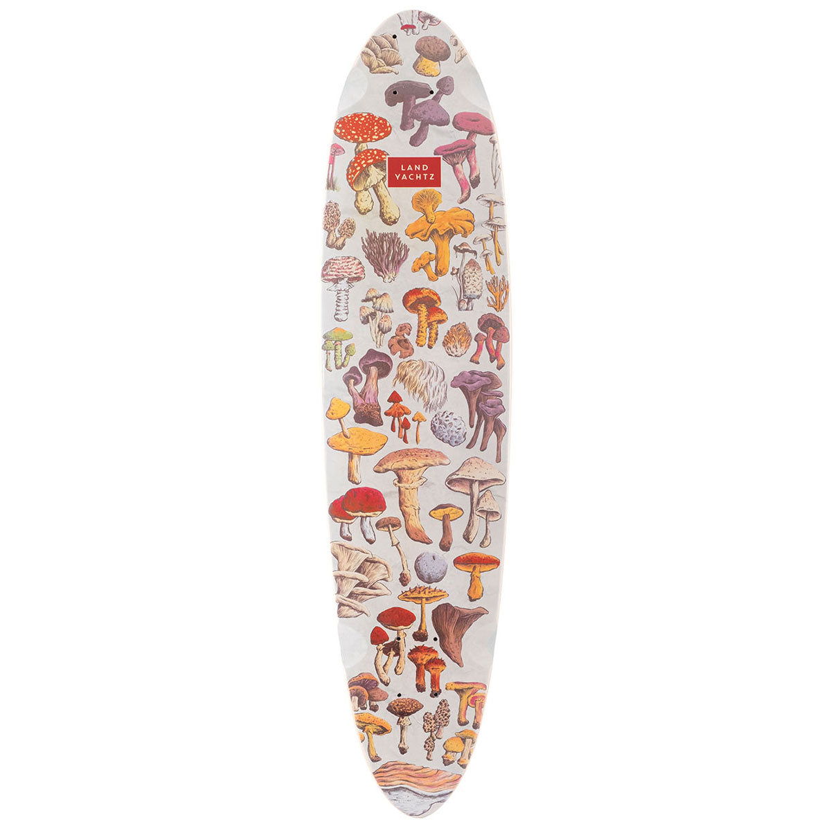 Landyachtz Dipper Forager Longboard Cruiser Deck image 1