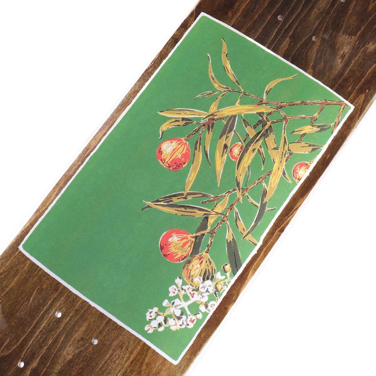 Passport Native Fruit Quandong Skateboard Deck - 8.50