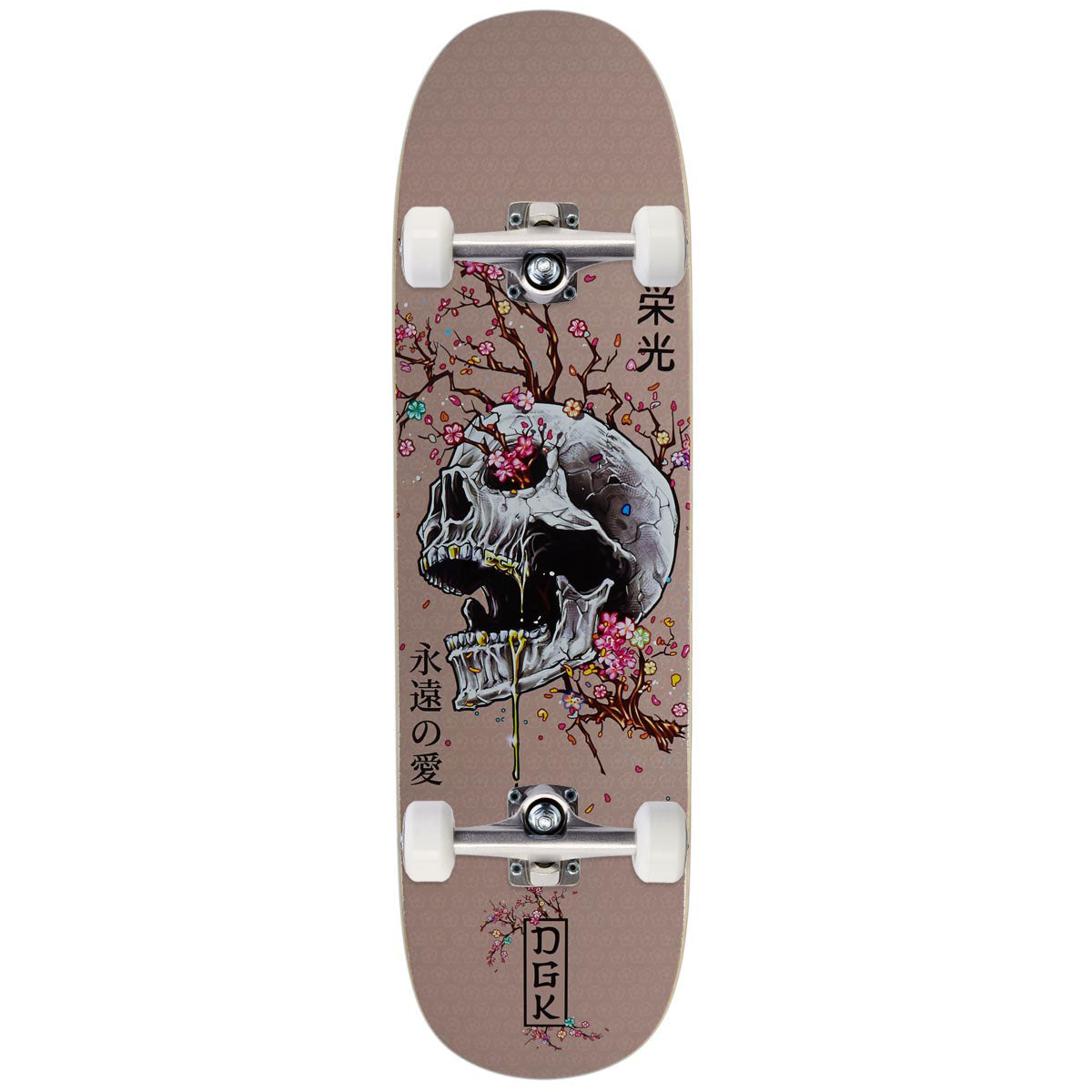 DGK Ancestry Cruiser Skateboard Complete - 8.75