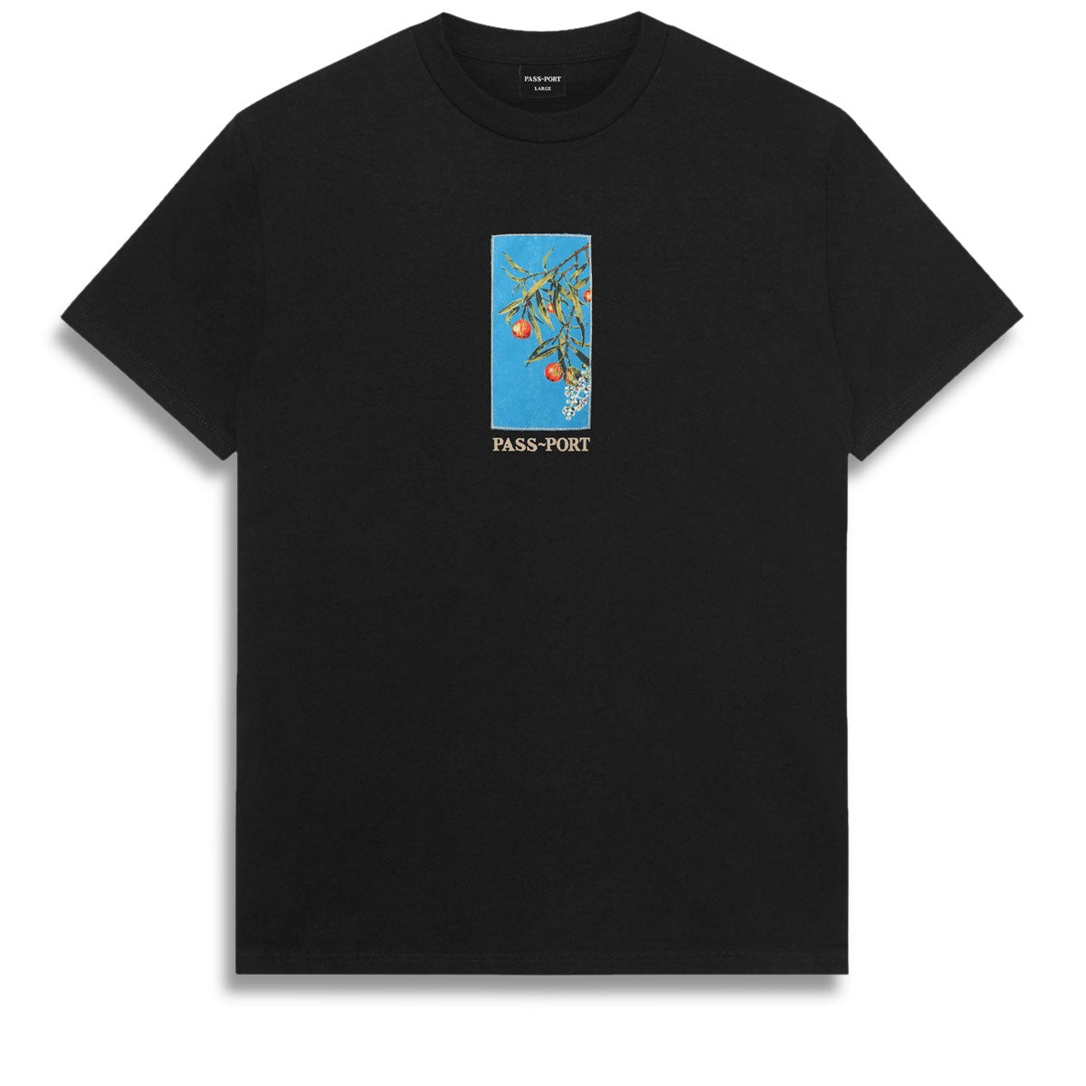 Passport Quandong T-Shirt - Black image 1