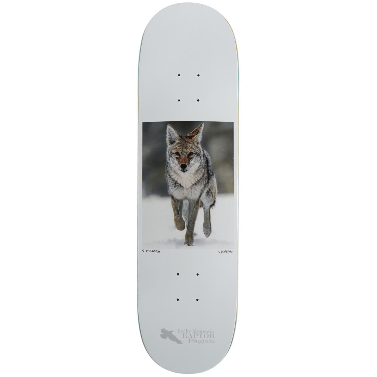 Zero Coyote Thomas Skateboard Deck - 8.50