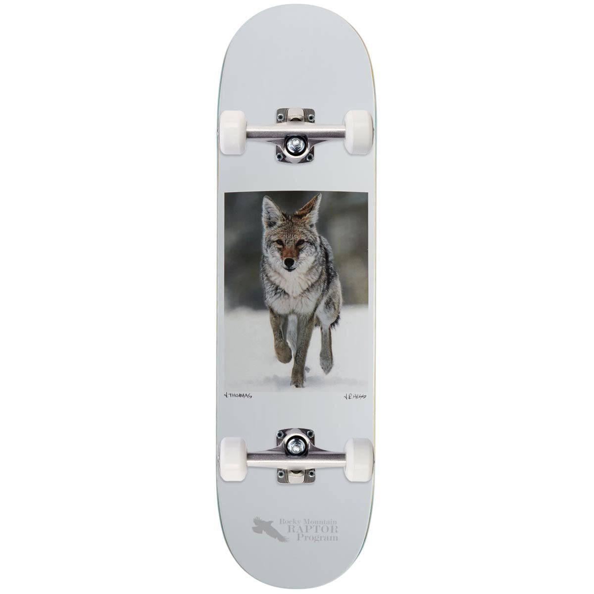 Zero Coyote Thomas Skateboard Complete - 8.50