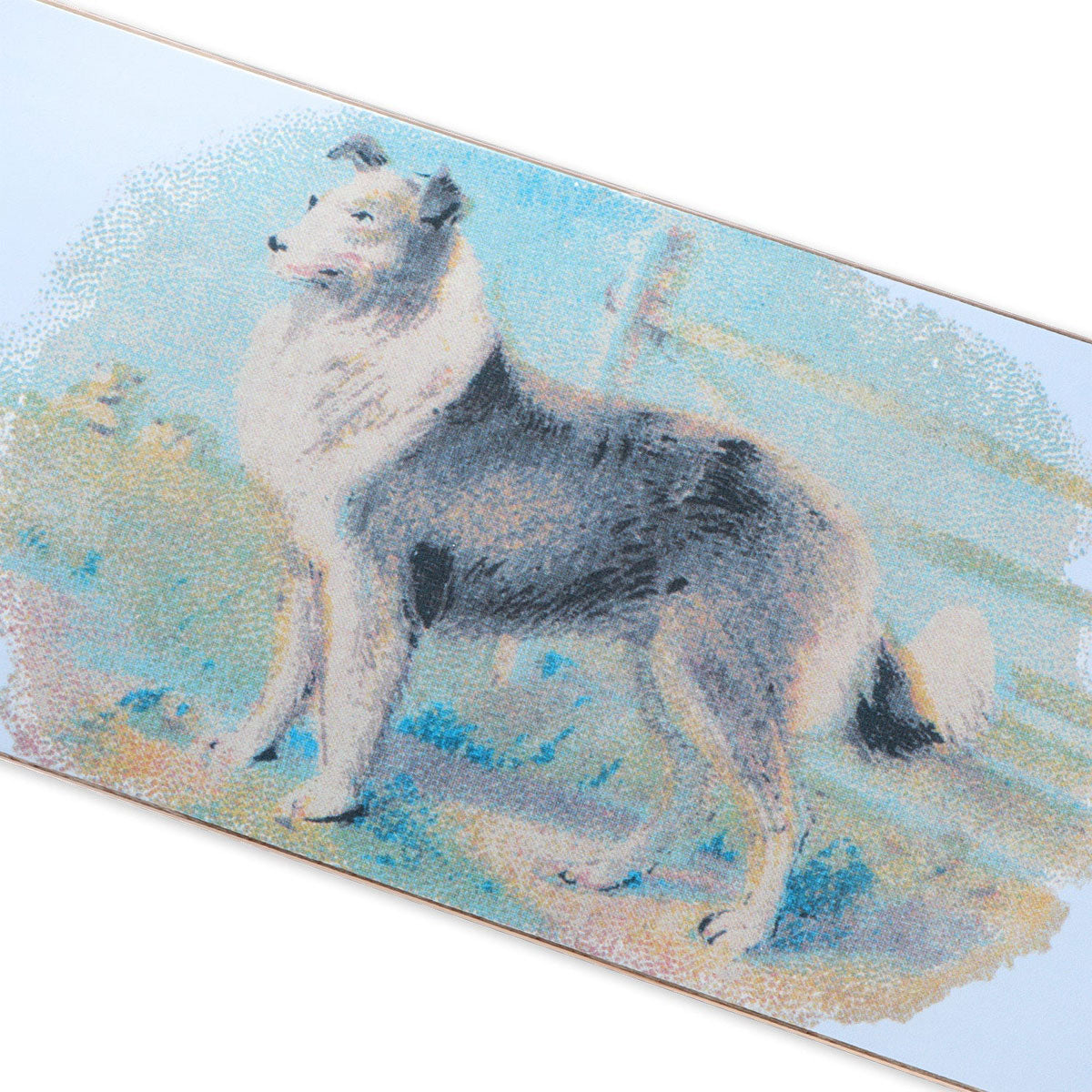 Passport Hybrid Vigour Collie Skateboard Deck - 8.125