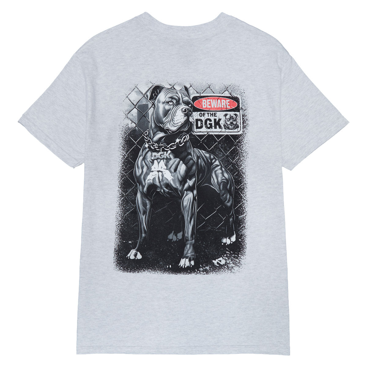 DGK On Guard T-Shirt - Ash Grey image 1