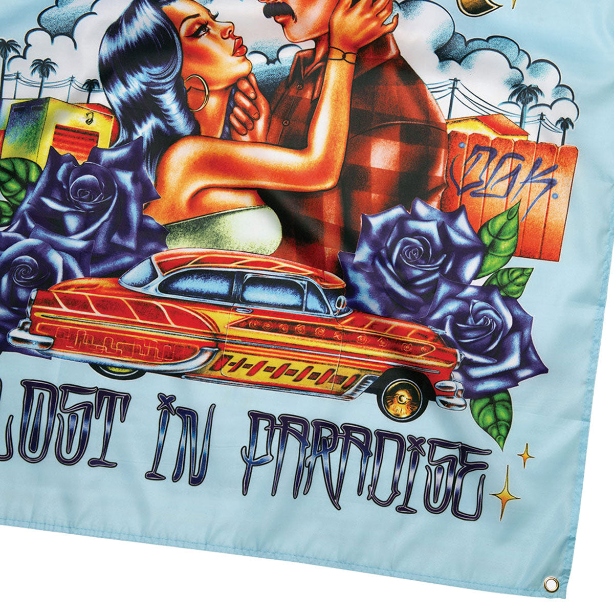 DGK Lost In Paradise Banner - Blue image 3