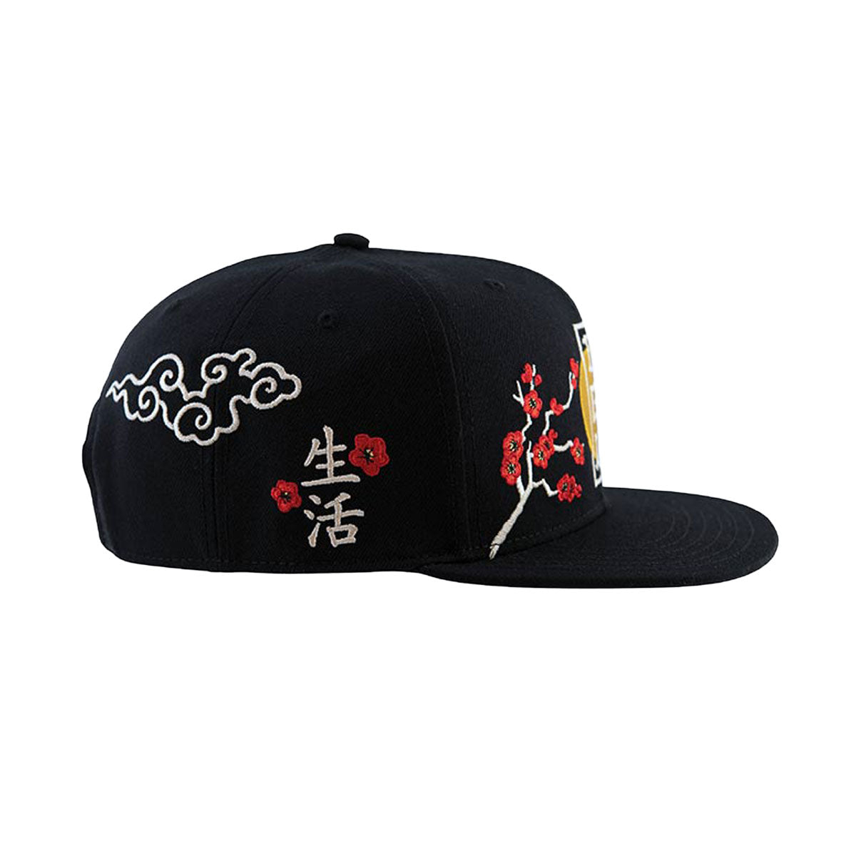 DGK Patience Hat - Black image 4