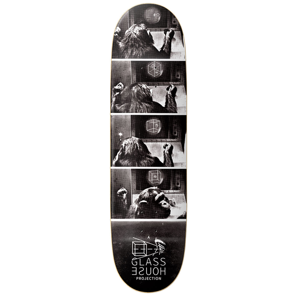 Glass House Hominid Skateboard Deck - 8.25