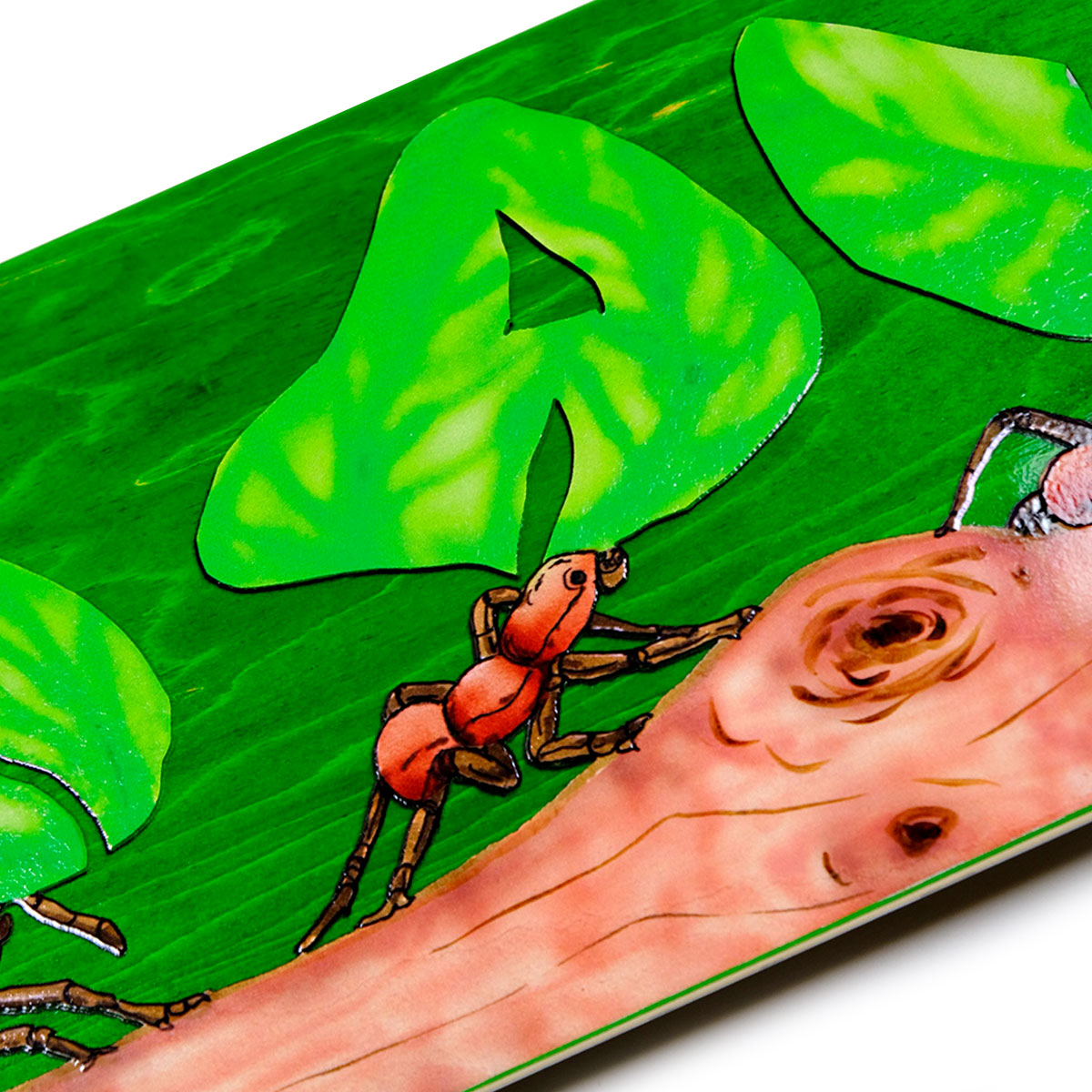 Snack Leafcutter Skateboard Deck - 8.50