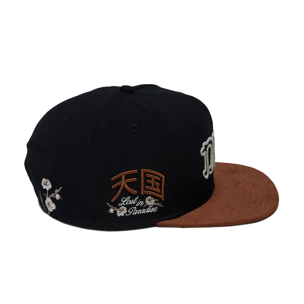 DGK Zion Snapback Hat - Black image 4