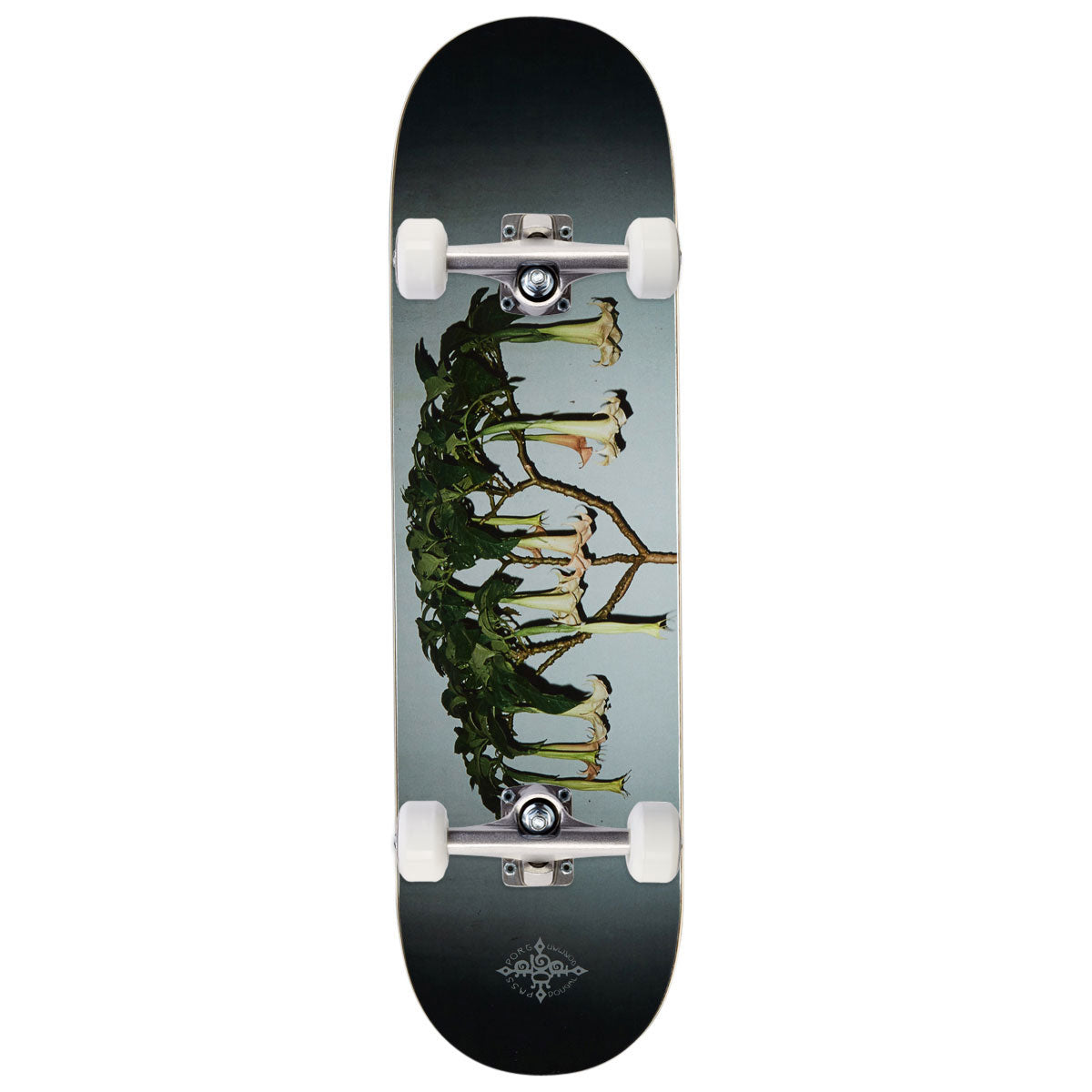 Passport D.G Series Angel Trumpets Skateboard Complete - 8.50