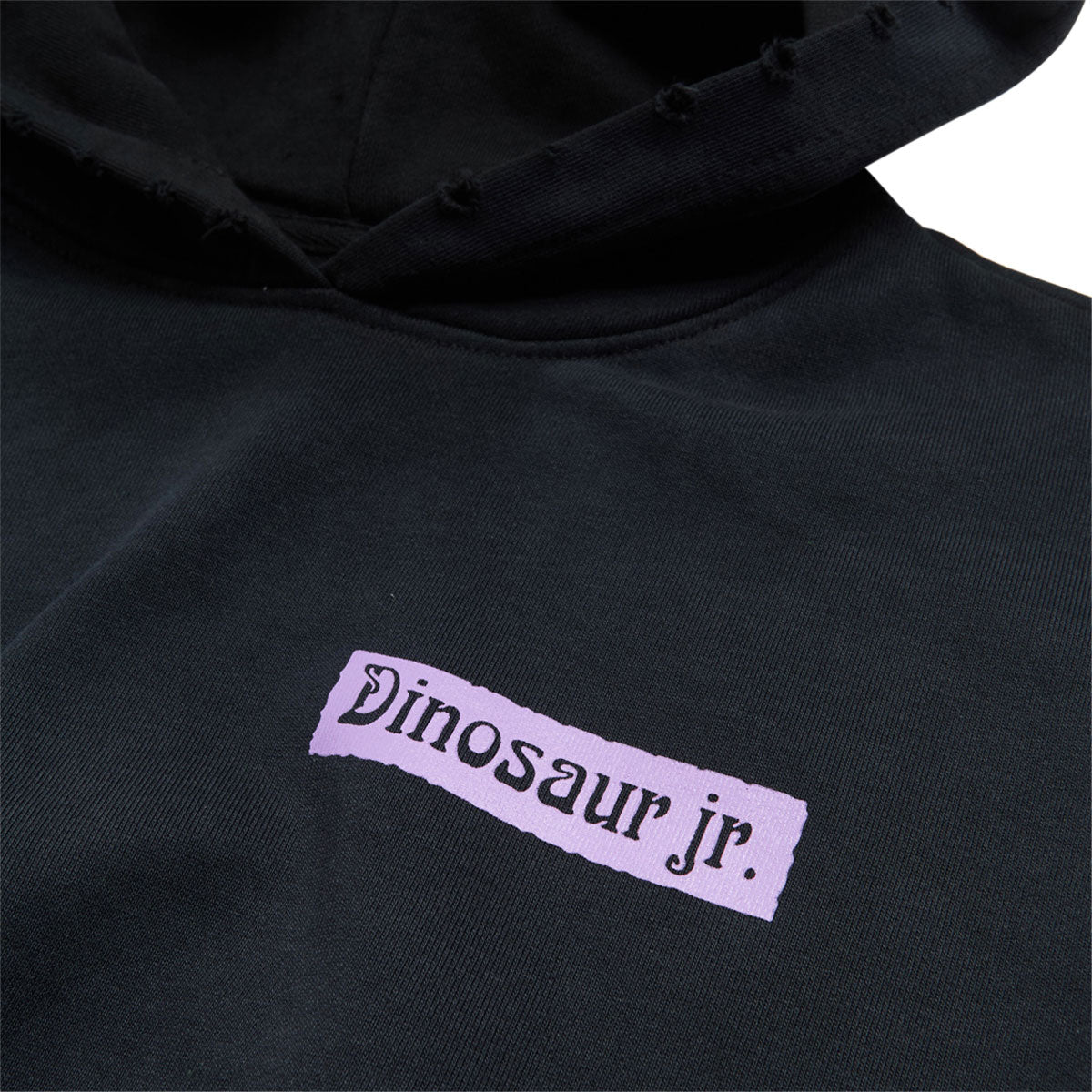 Color Bars x Dinosaur Jr Weirdness Hoodie - Potassium Black image 3