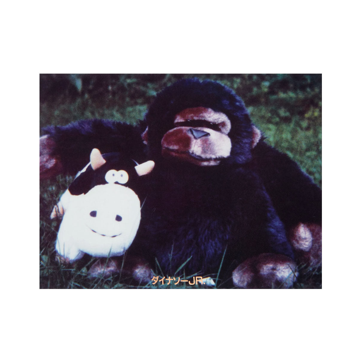 Color Bars x Dinosaur Jr Import Sticker image 1