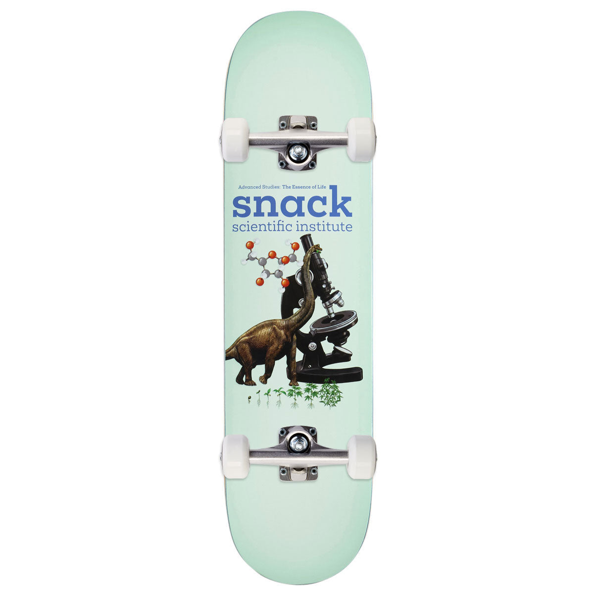 Snack Scientific Institute Skateboard Complete - 8.10