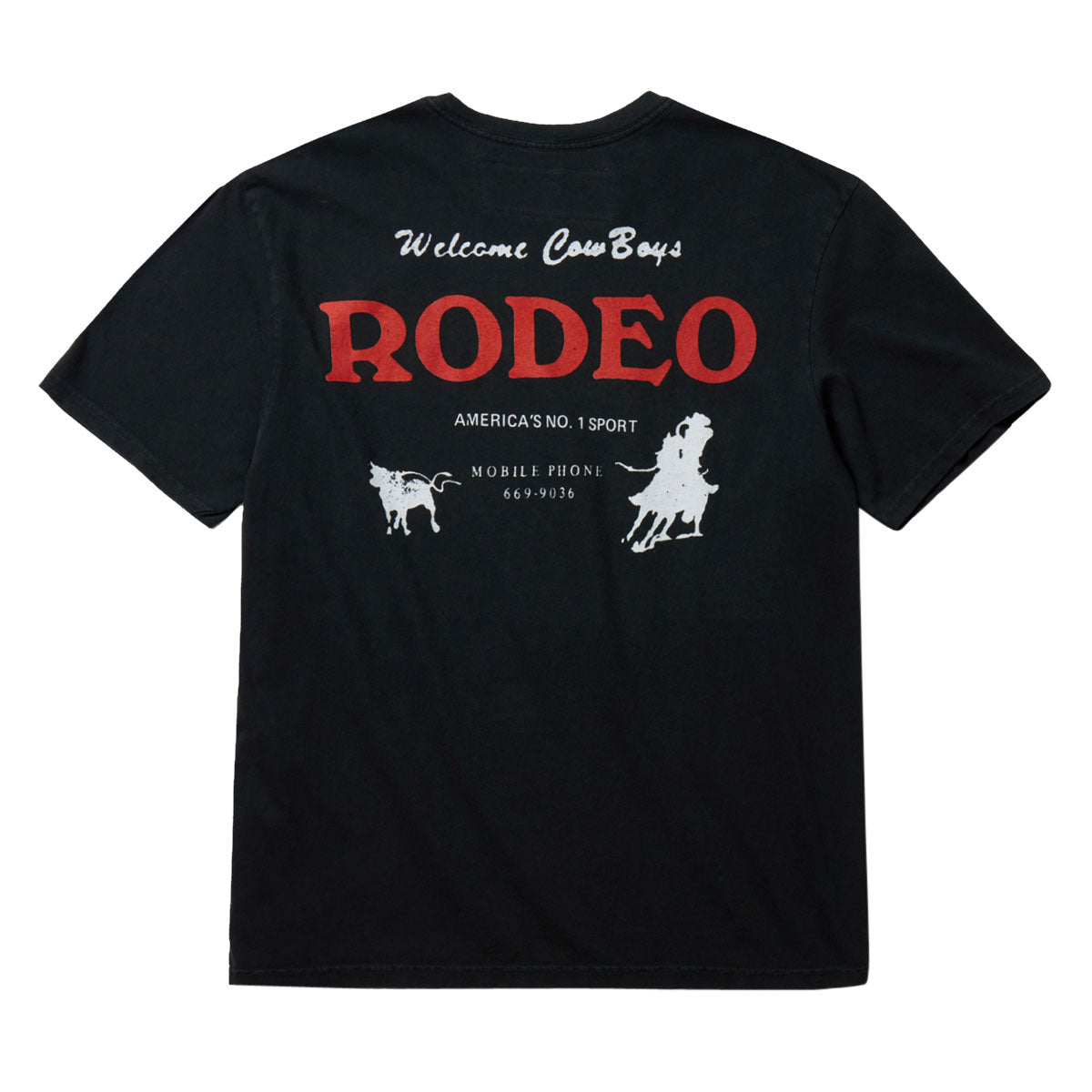 One Of These Days Americas Sport T-Shirt - Washed Black image 2