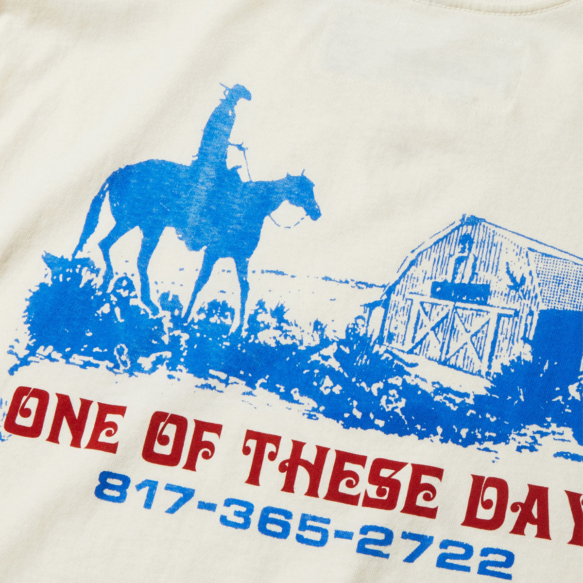 One Of These Days Trail Of Dust T-Shirt - Bone image 4