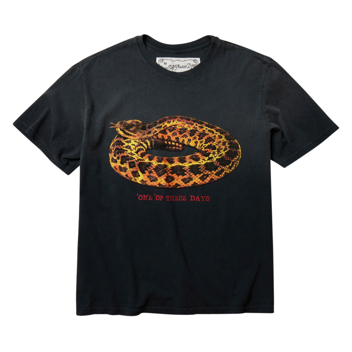 One Of These Days Rattler T-Shirt - Sun Faded Black image 1