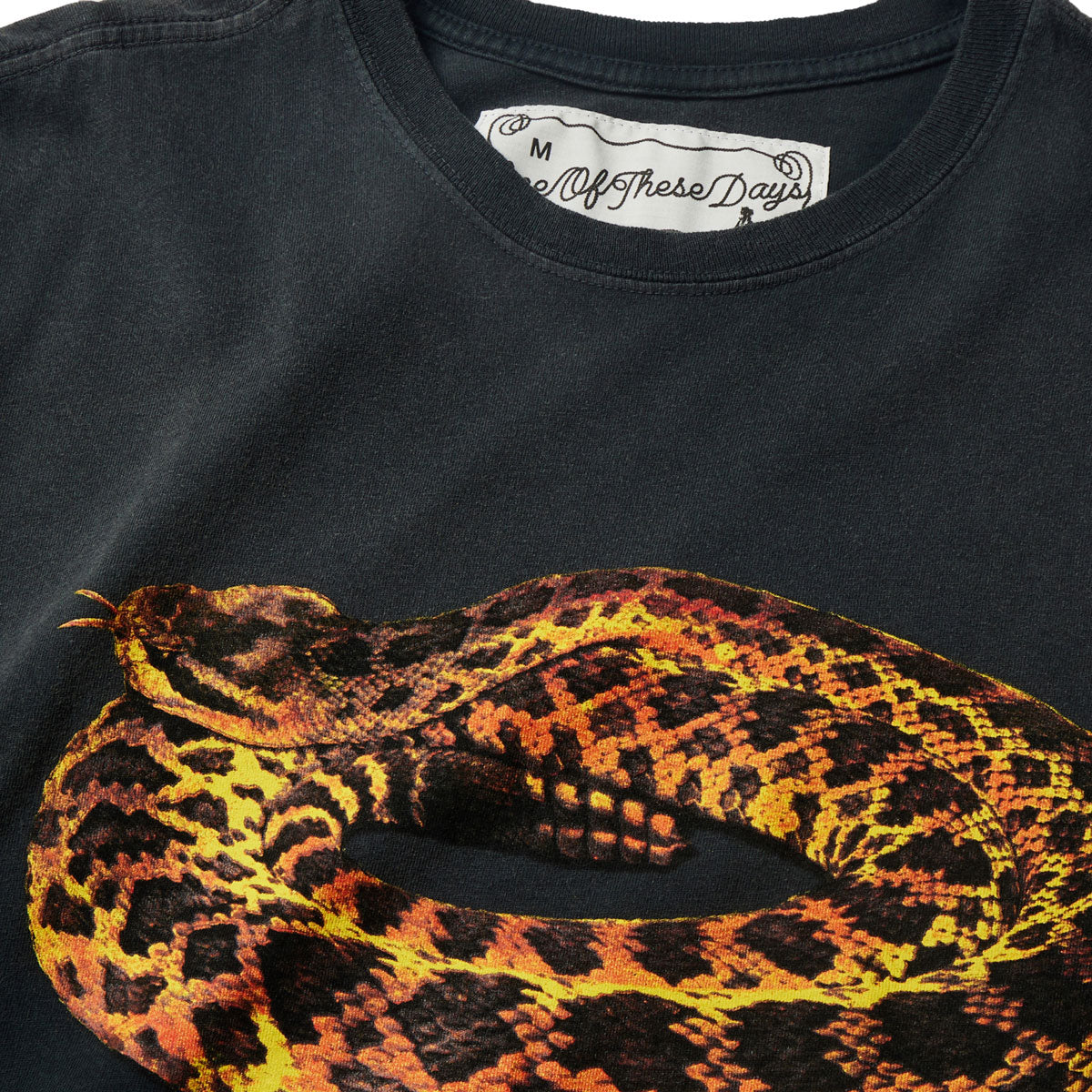 One Of These Days Rattler T-Shirt - Sun Faded Black image 2
